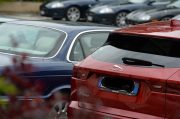 Le Jaguar nella zona del Prosecco e Cartize (90/152)